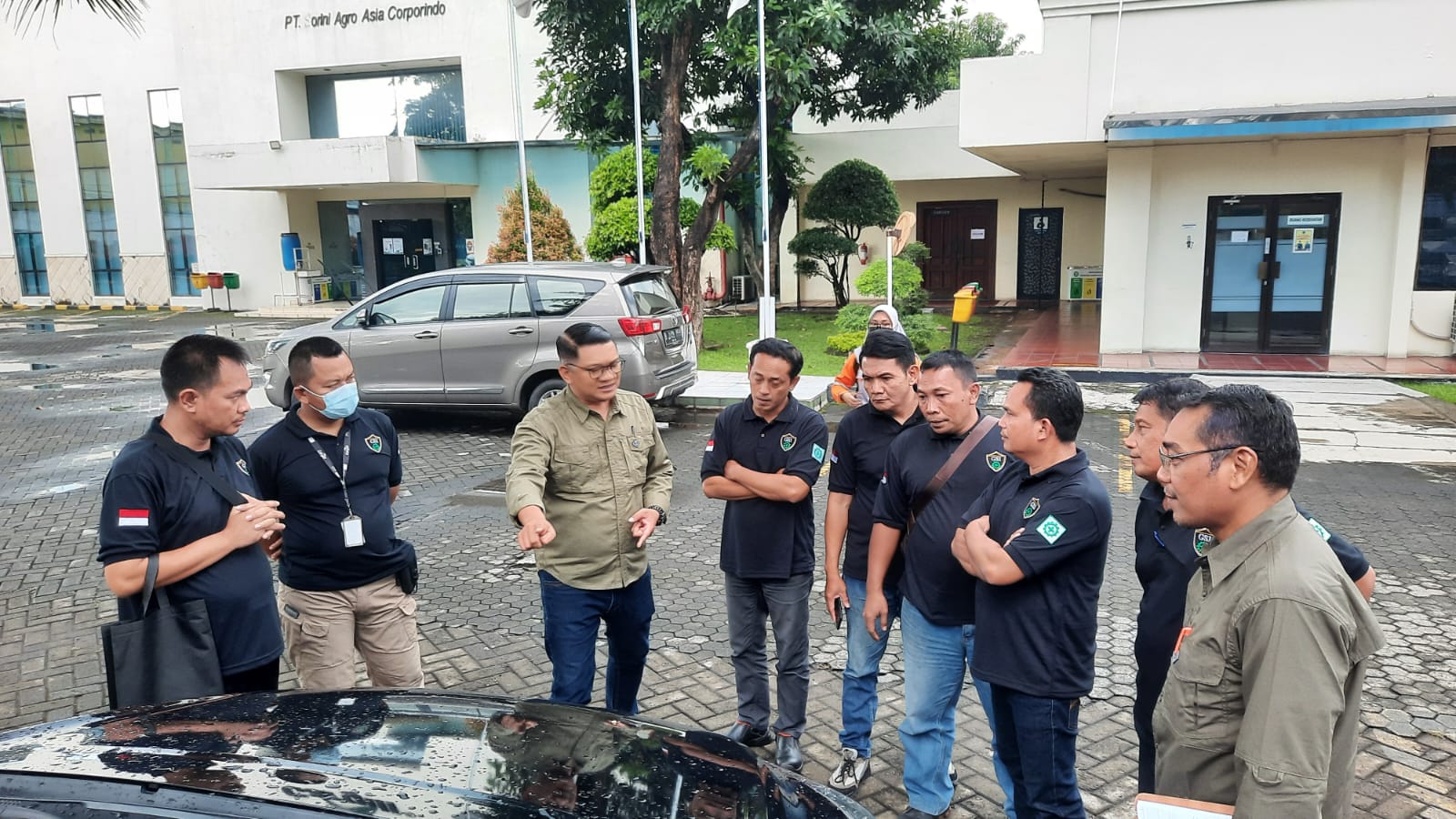 pengalaman pro drive