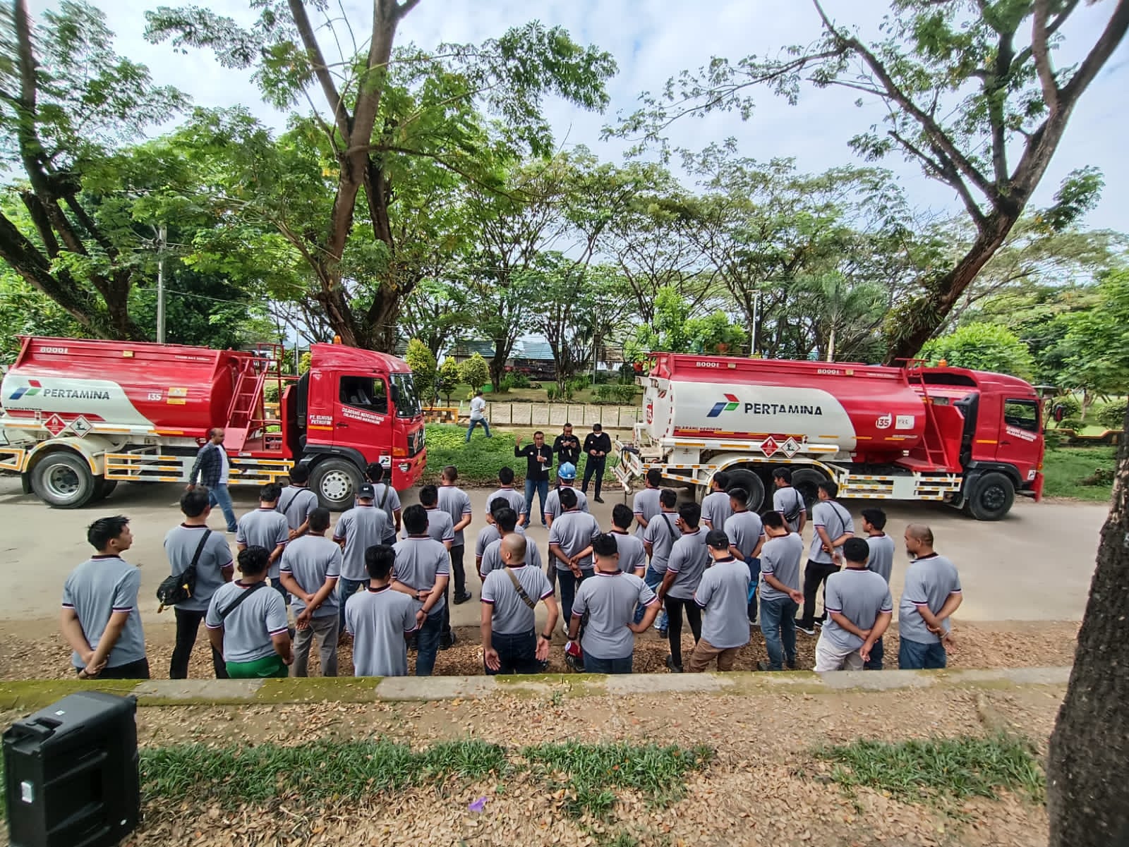 pengalaman pro drive