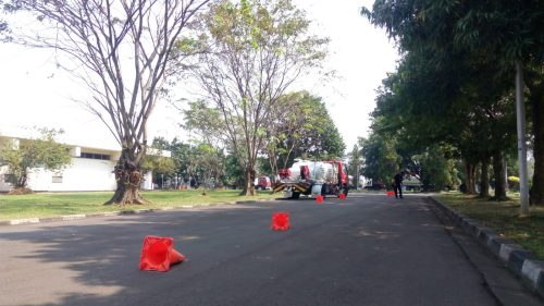 pengalaman pro drive